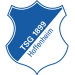 1899 Hoffenheim crest