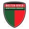 Escudo do Boston River