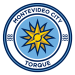Escudo do Atletico Torque