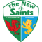 The New Saints crest